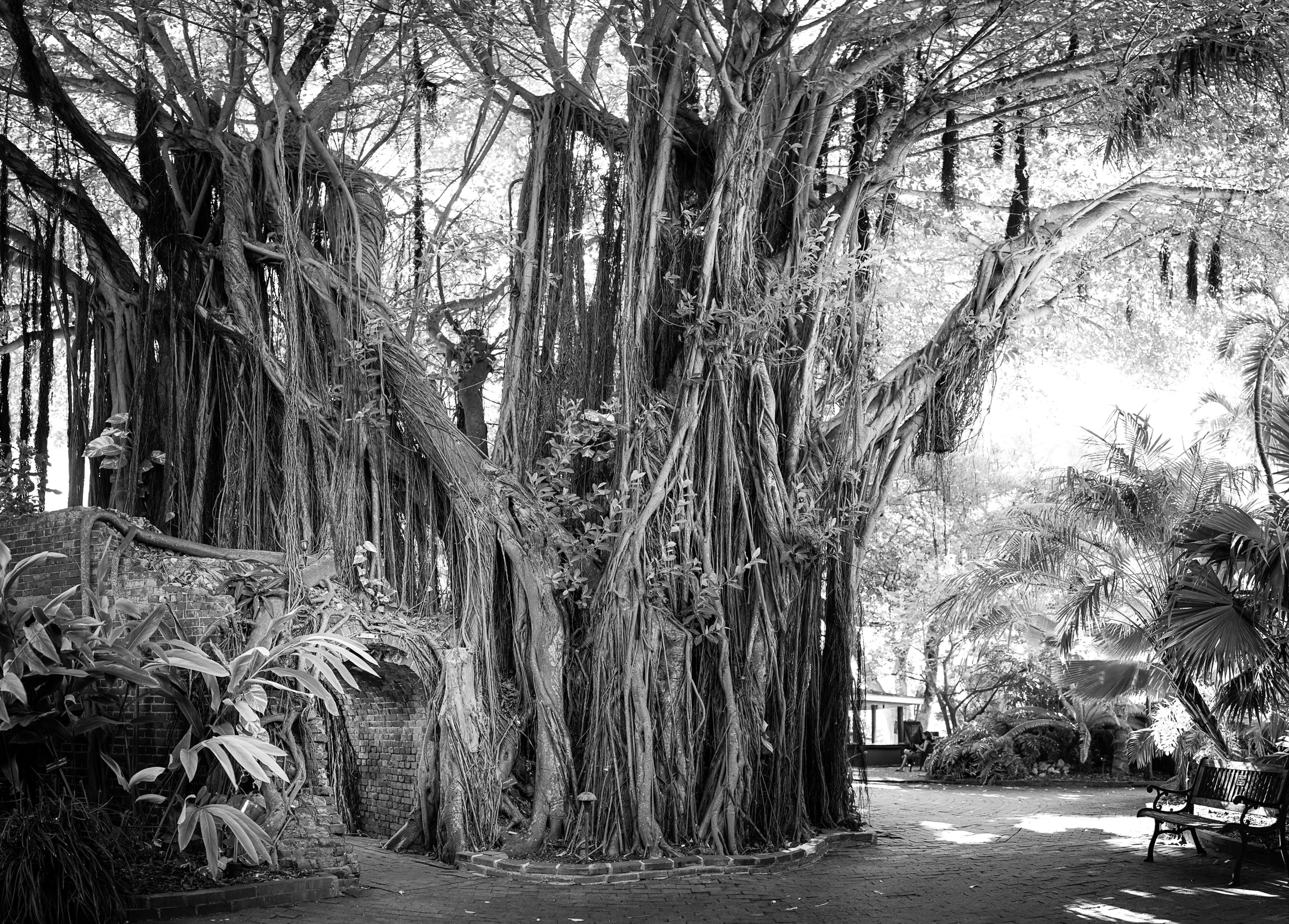 DSC_0448-Pano.jpg
