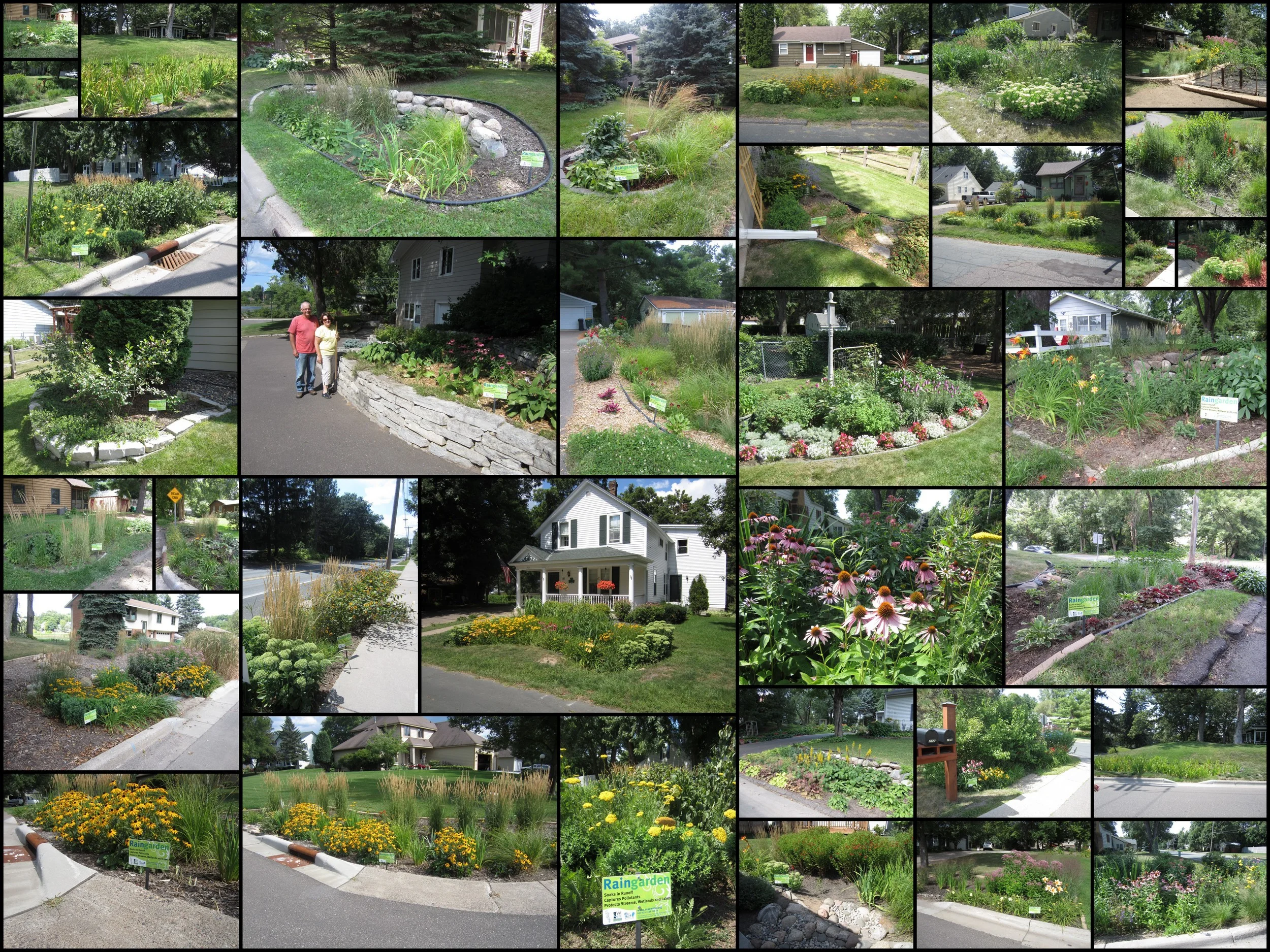 Raingardens in Stillwater