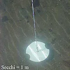 This is a secchi disk which is used to measure water clarity. 