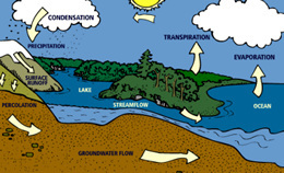 The Water Cycle 