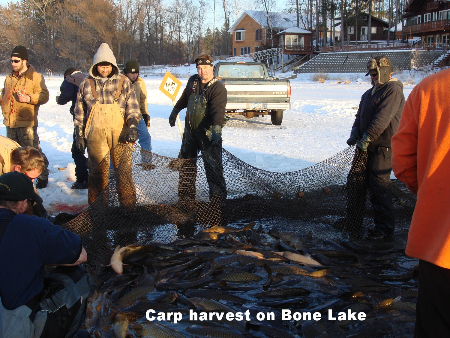 Carp harvest at Bone Lake.jpg