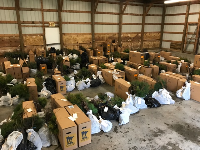 Annual Tree Sale - a great selection of bare root trees at a great price.