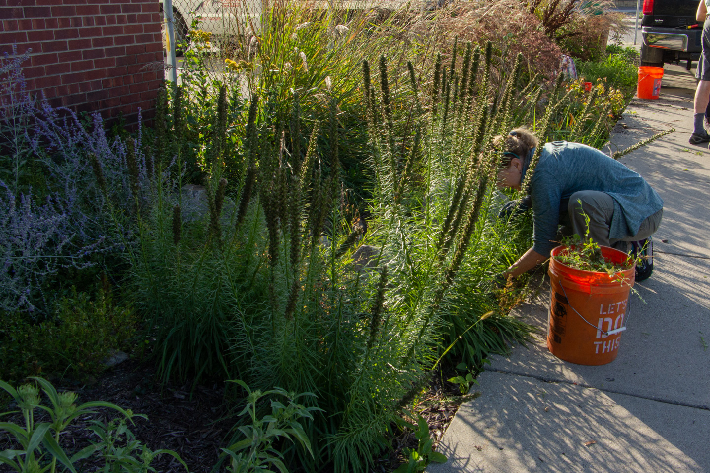 cwmn_RoxanneStuhr_RainGardenWinterPrep_44_web.jpg