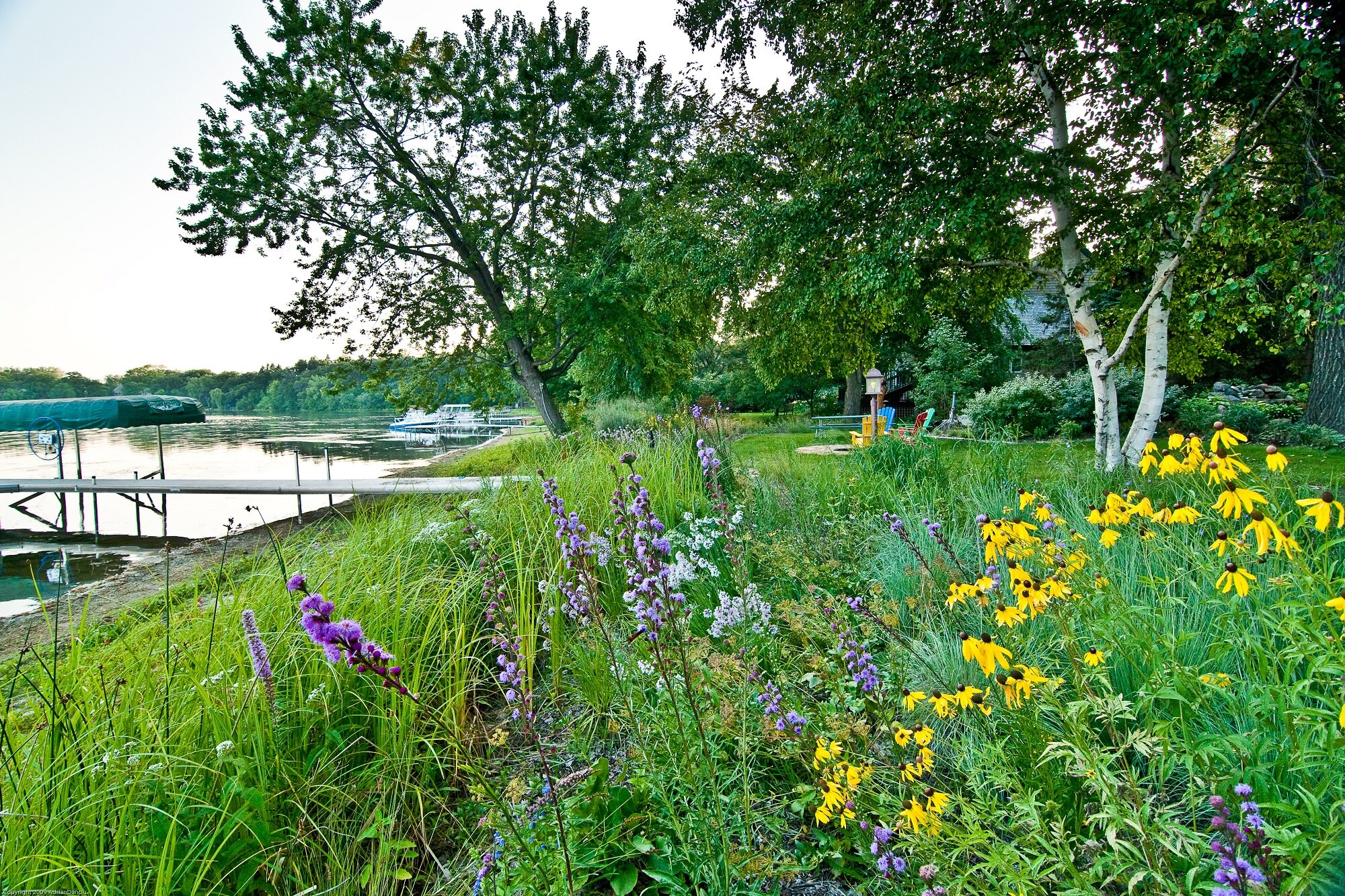 Native shorelines