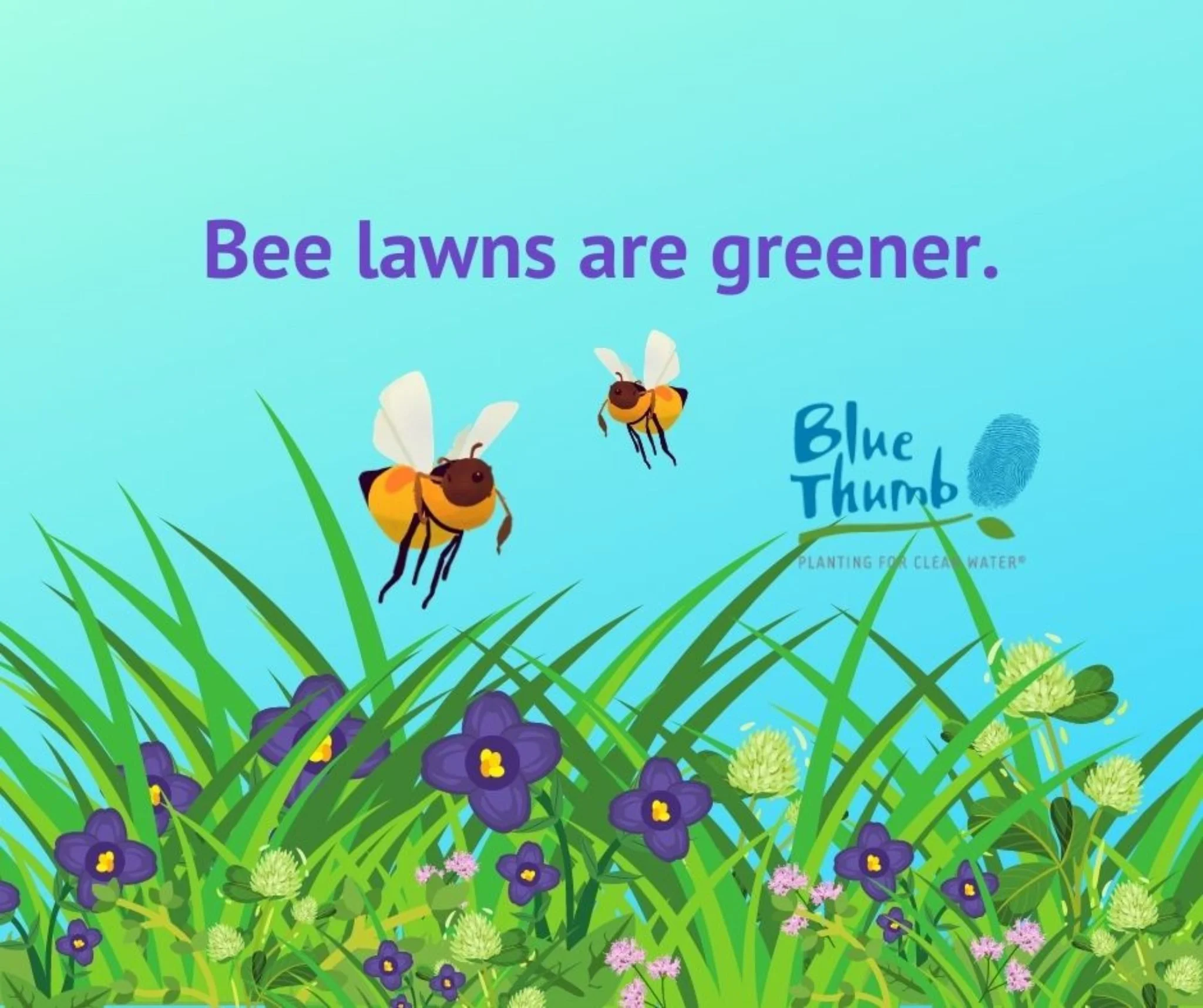 Bee Lawns and Lawn Alternatives Workshop
