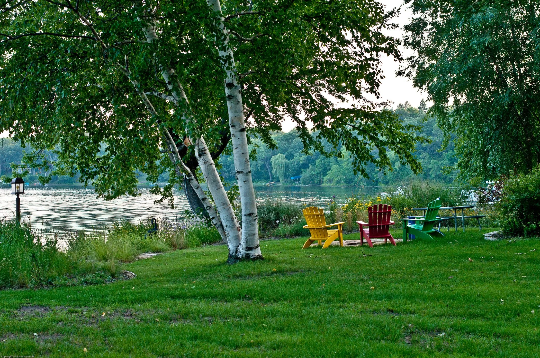 Restore Your Shore Workshop