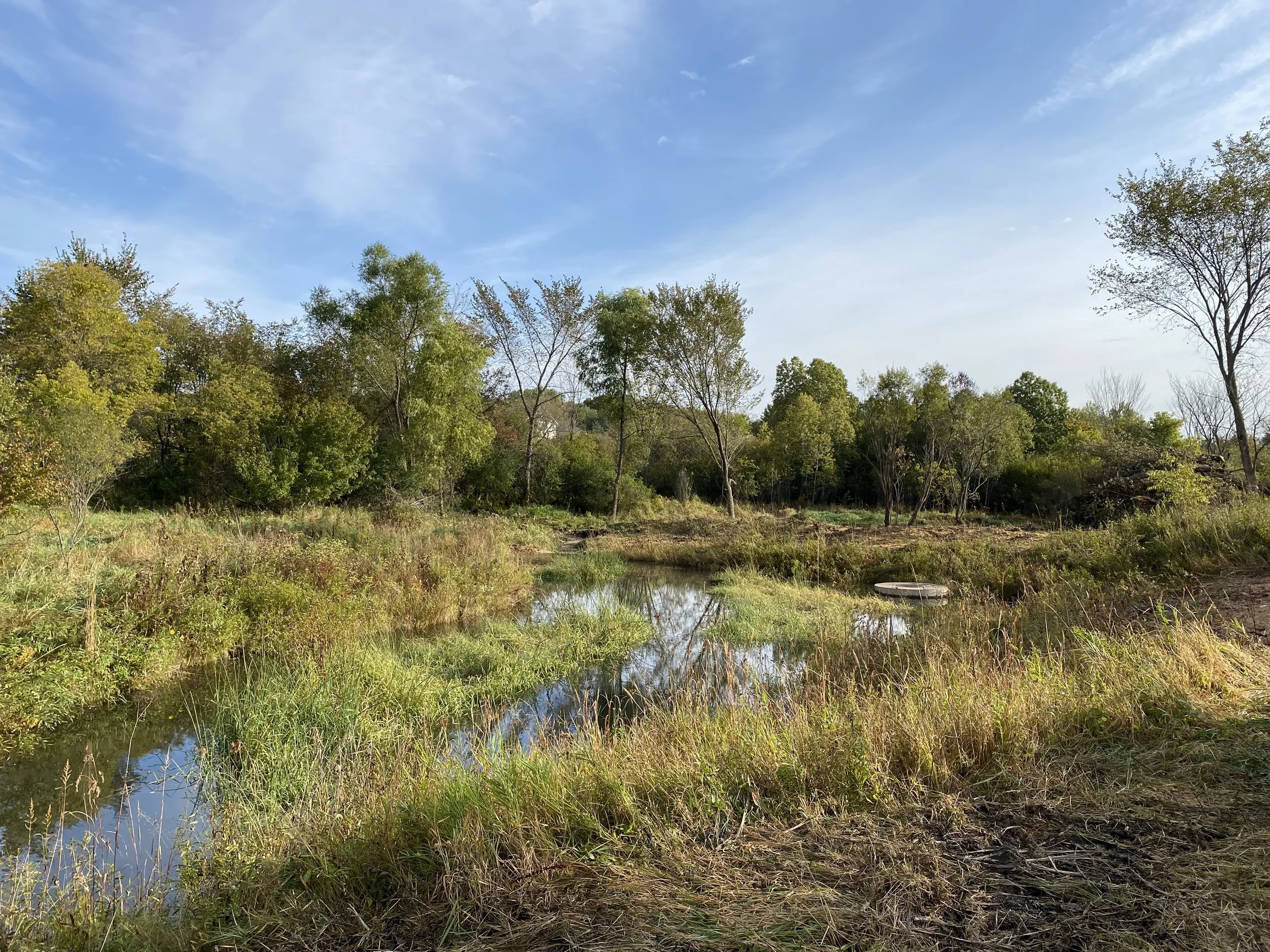 Brown's Creek Restoration Tour (Stillwater)