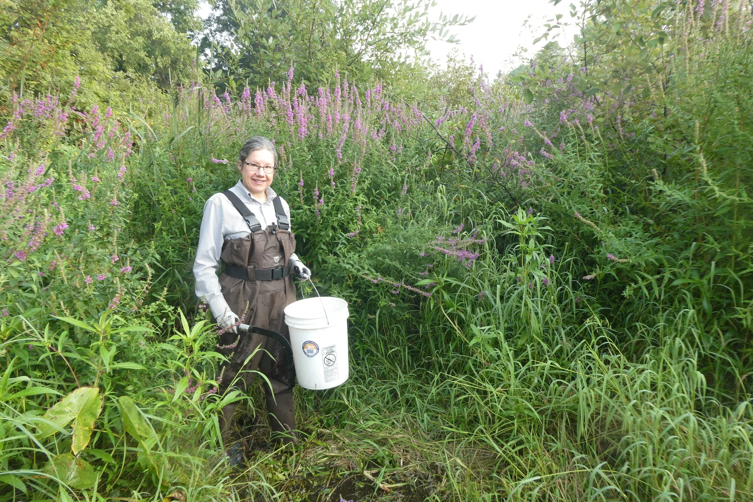 Water Steward Info Session (online)