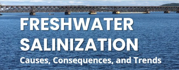 Freshwater Salinization: Causes, consequences and trends 