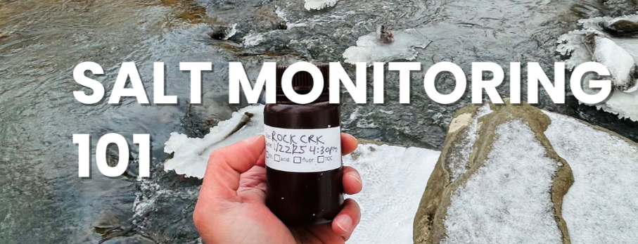 Salt Monitoring 101