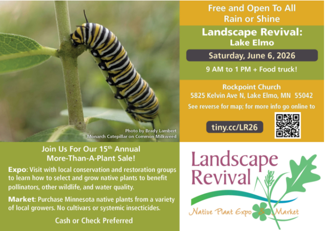 Landscape Revival (Lake Elmo)