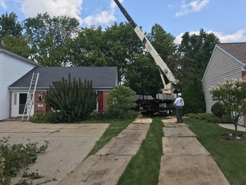 Tree Removal 11.JPG