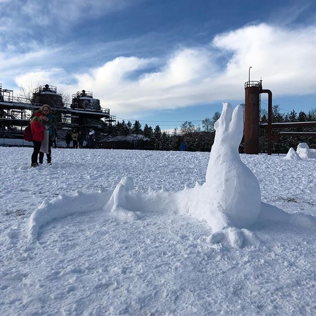 Snow creatures of Seattle. #seattle #snowmageddon #wa