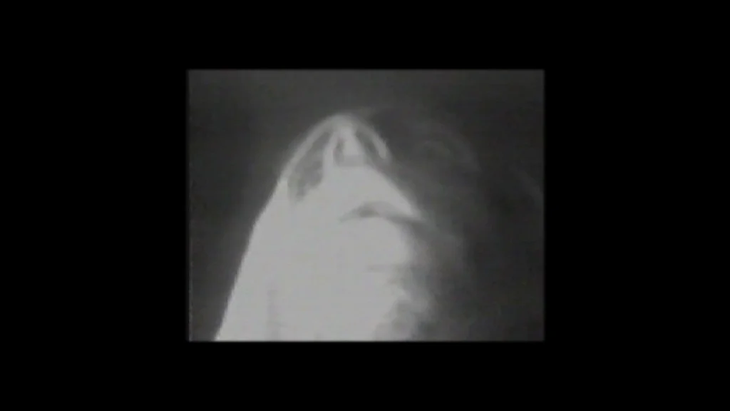 Video — Callum Perry