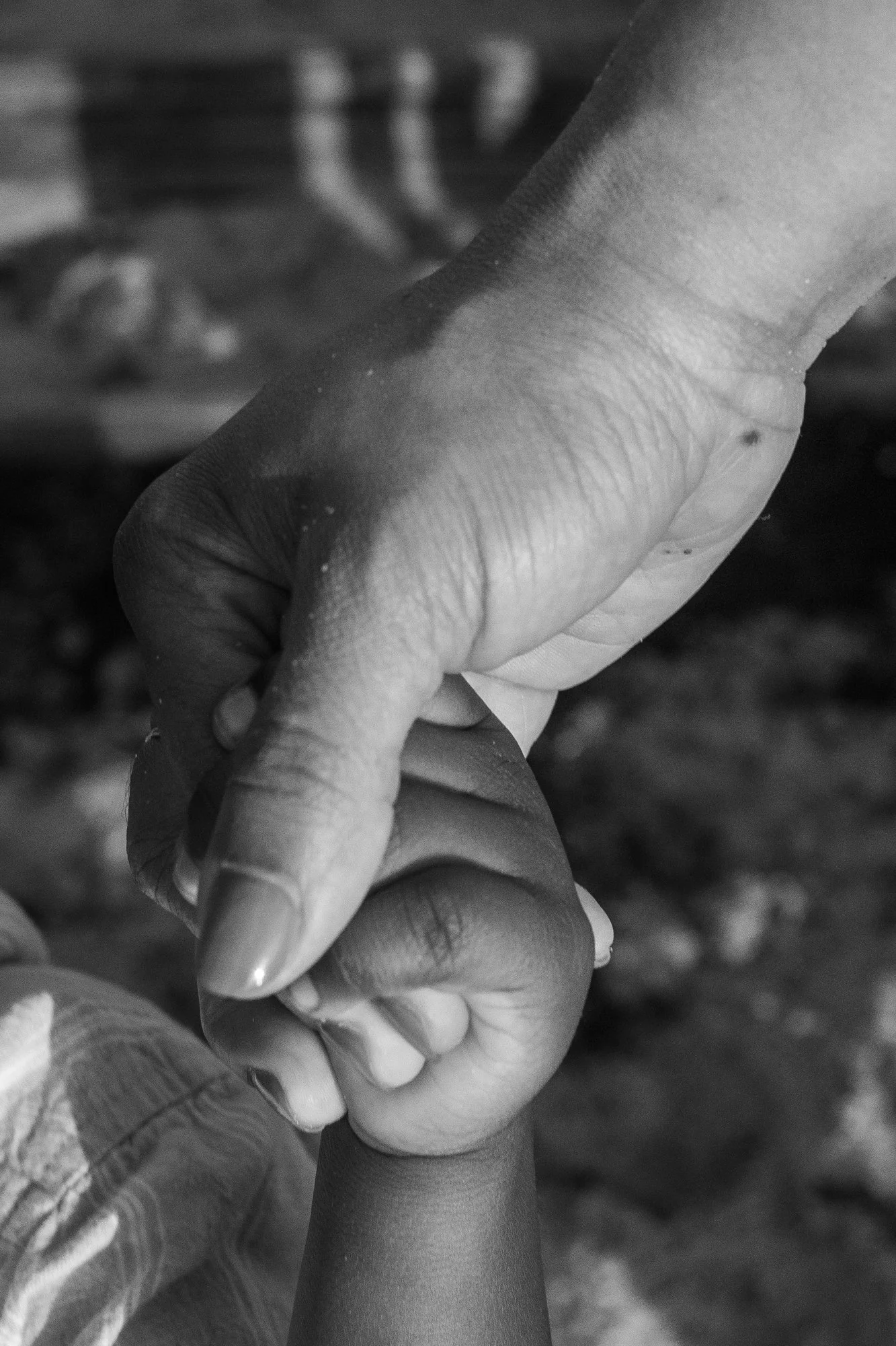 Myers.Family.July.2026.Web (71 of 95).jpg