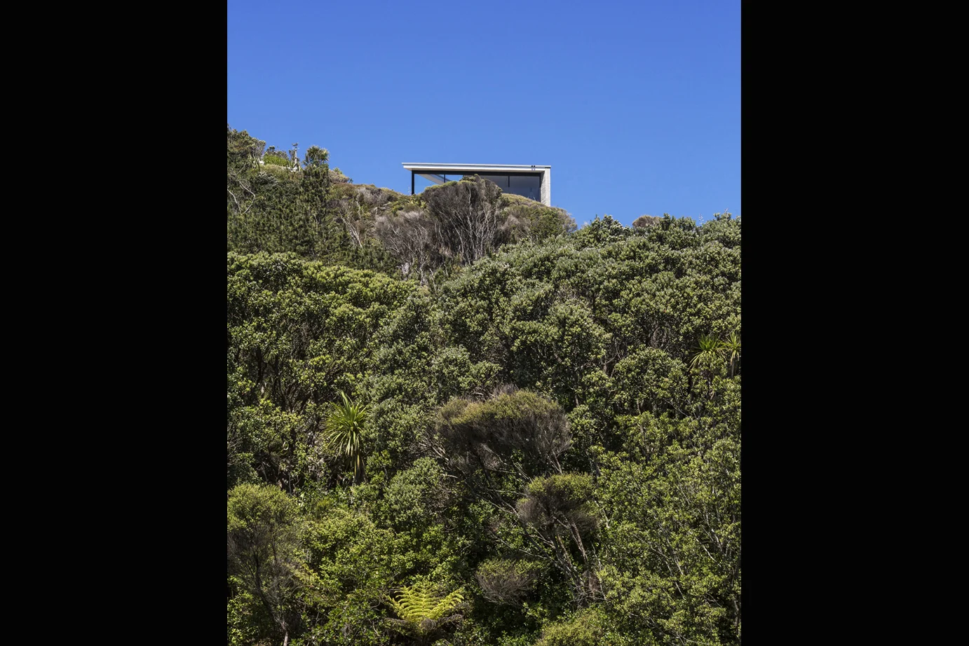 MURIWAI HSE_6820-2.jpg
