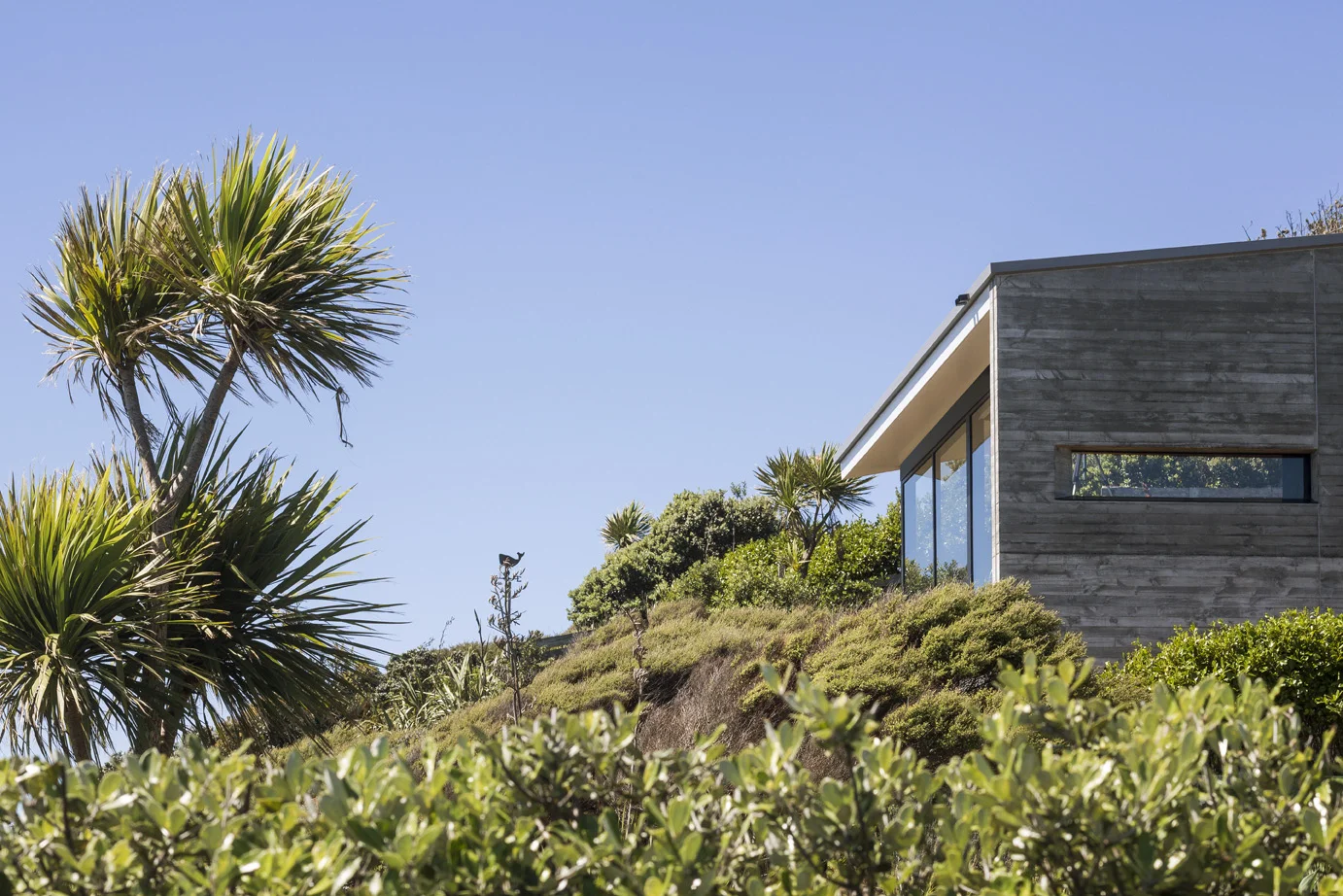 MURIWAI HSE_6815.jpg