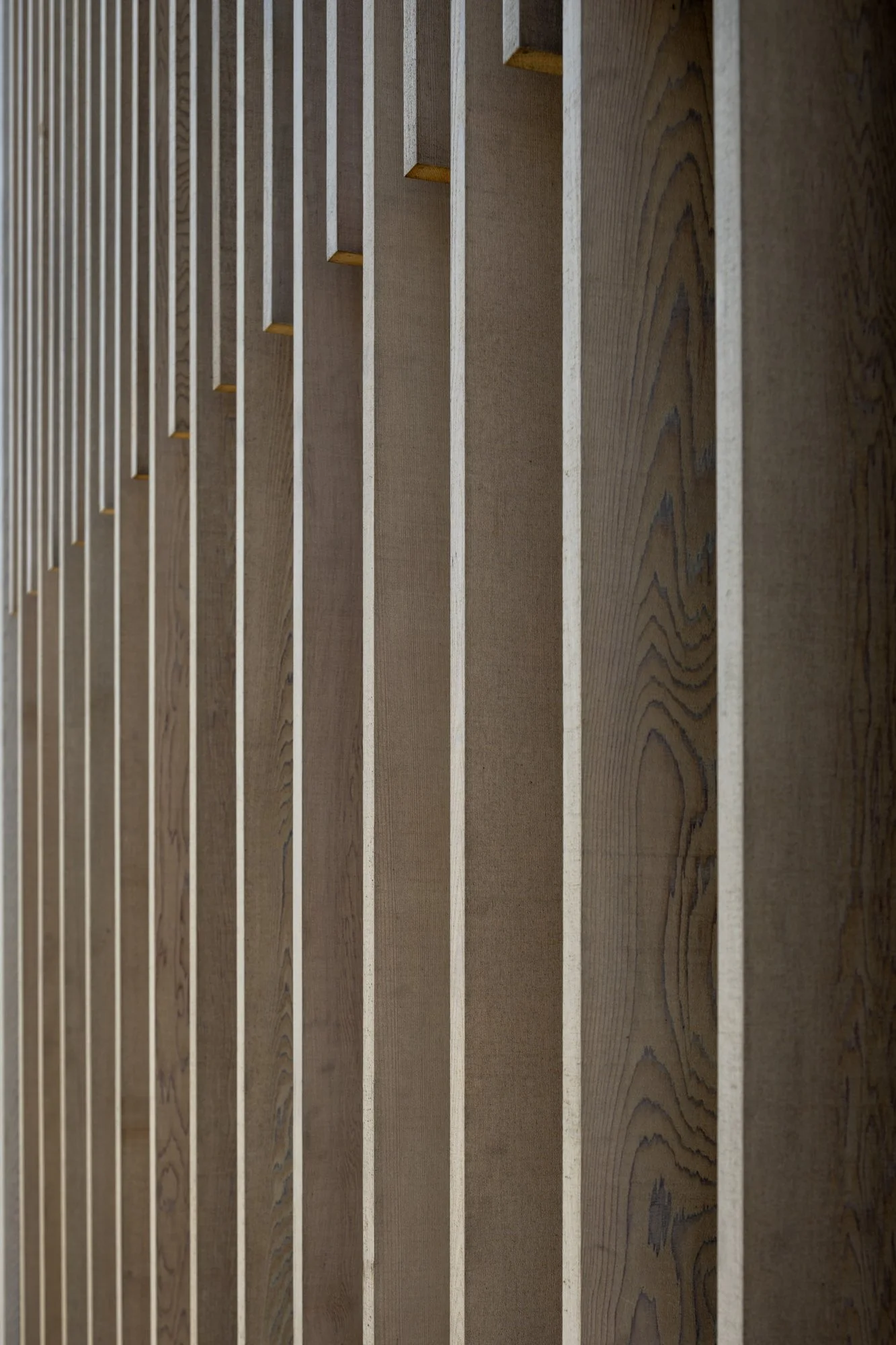 FGX_AD7090.jpg