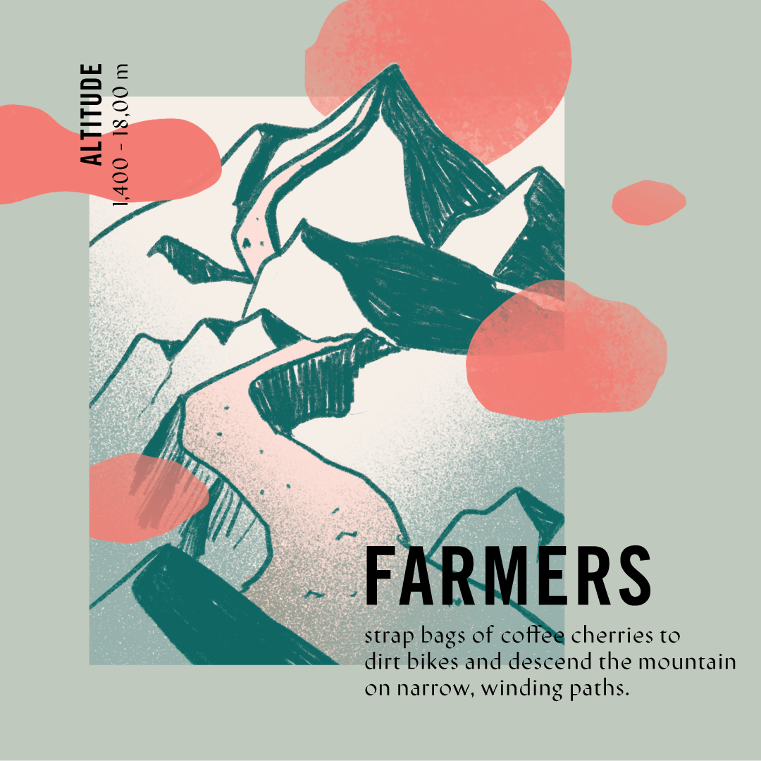 LD3-rsvSocial-vietnam-r2-farmers.png