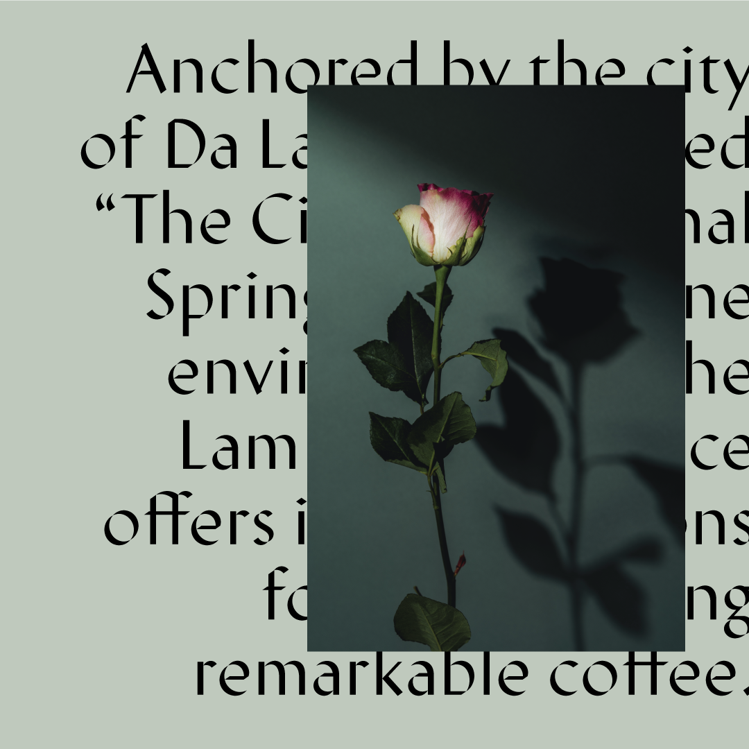 LD3-rsvSocial-vietnam-r2-text.png