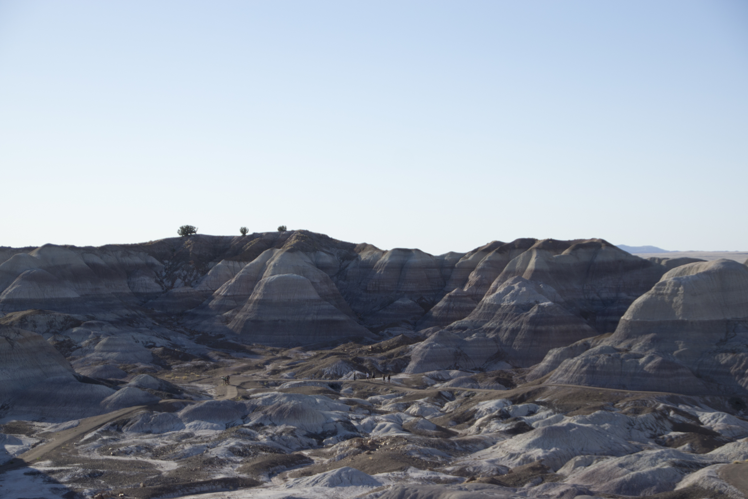  Blue Mesa, Petrified Forest National Park. 