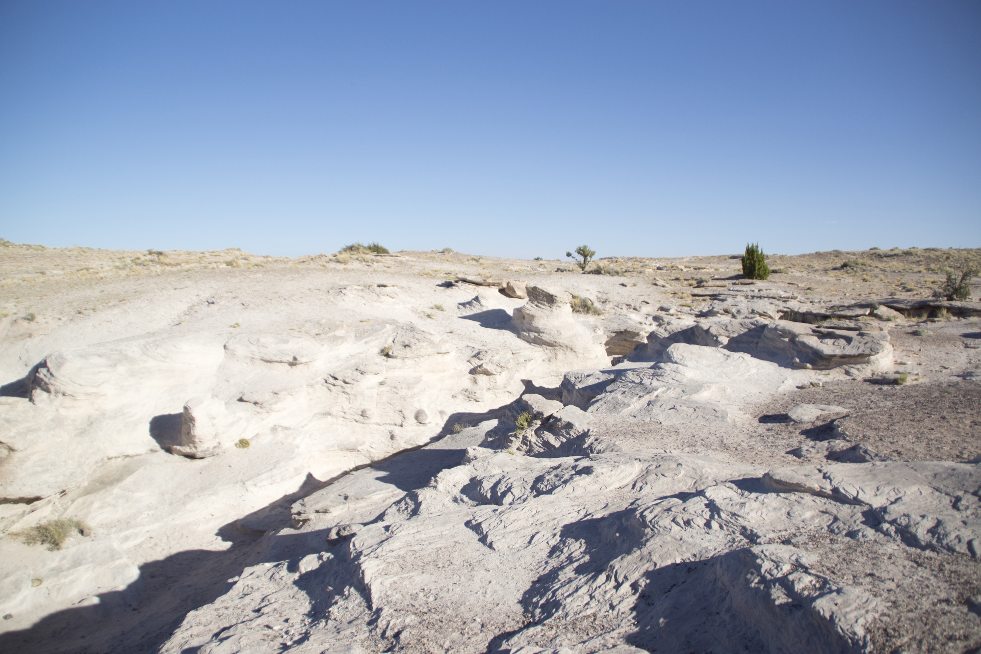  Jaspar Bridge, Petrified Forest National Park. 