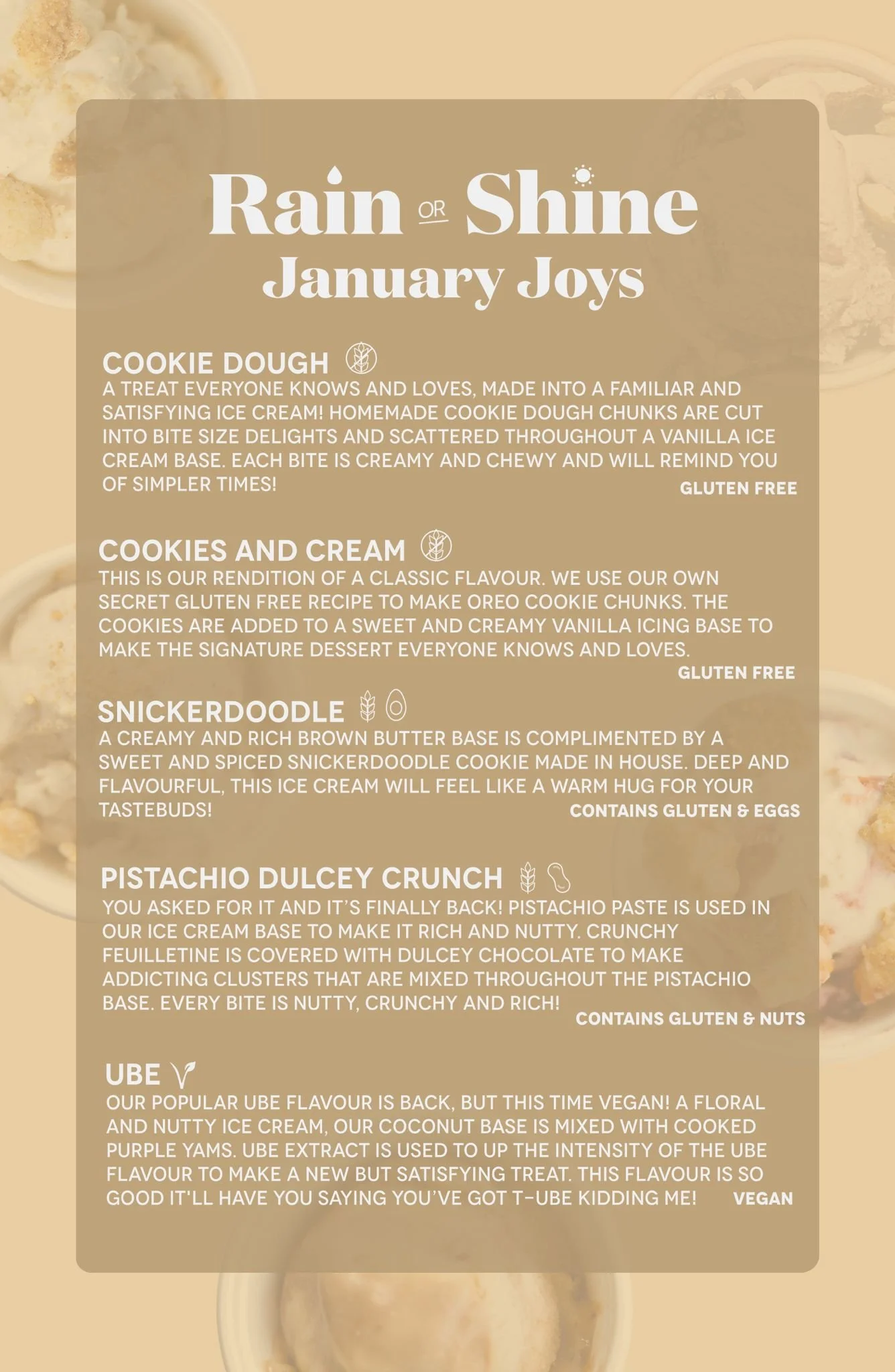 In Store — Rain or Shine Homemade Ice Cream