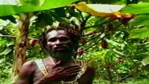 i-Free - Land of the Rainbow