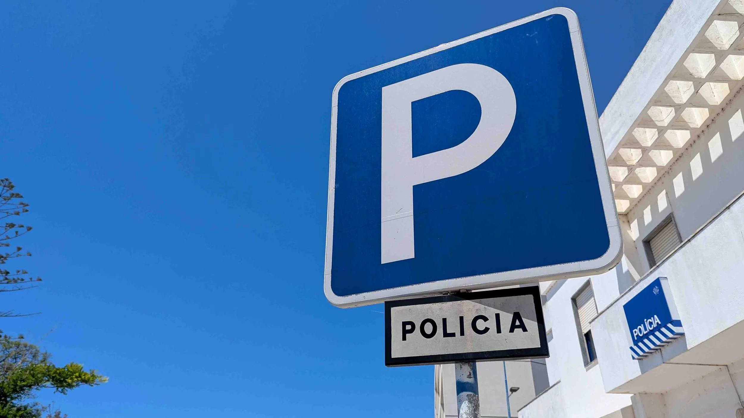 PXL_20250510_111902347