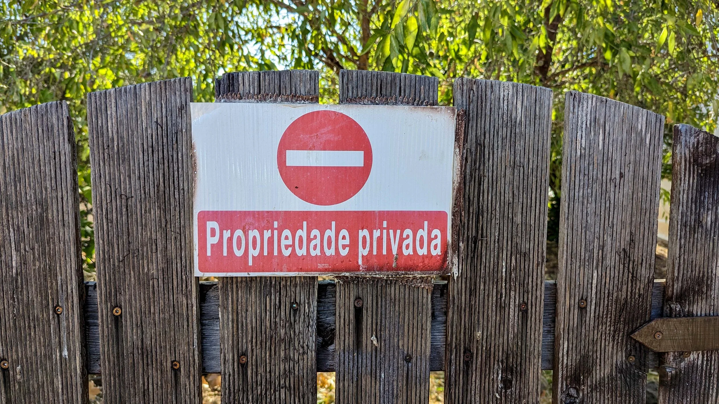 PXL_20230716_082728777