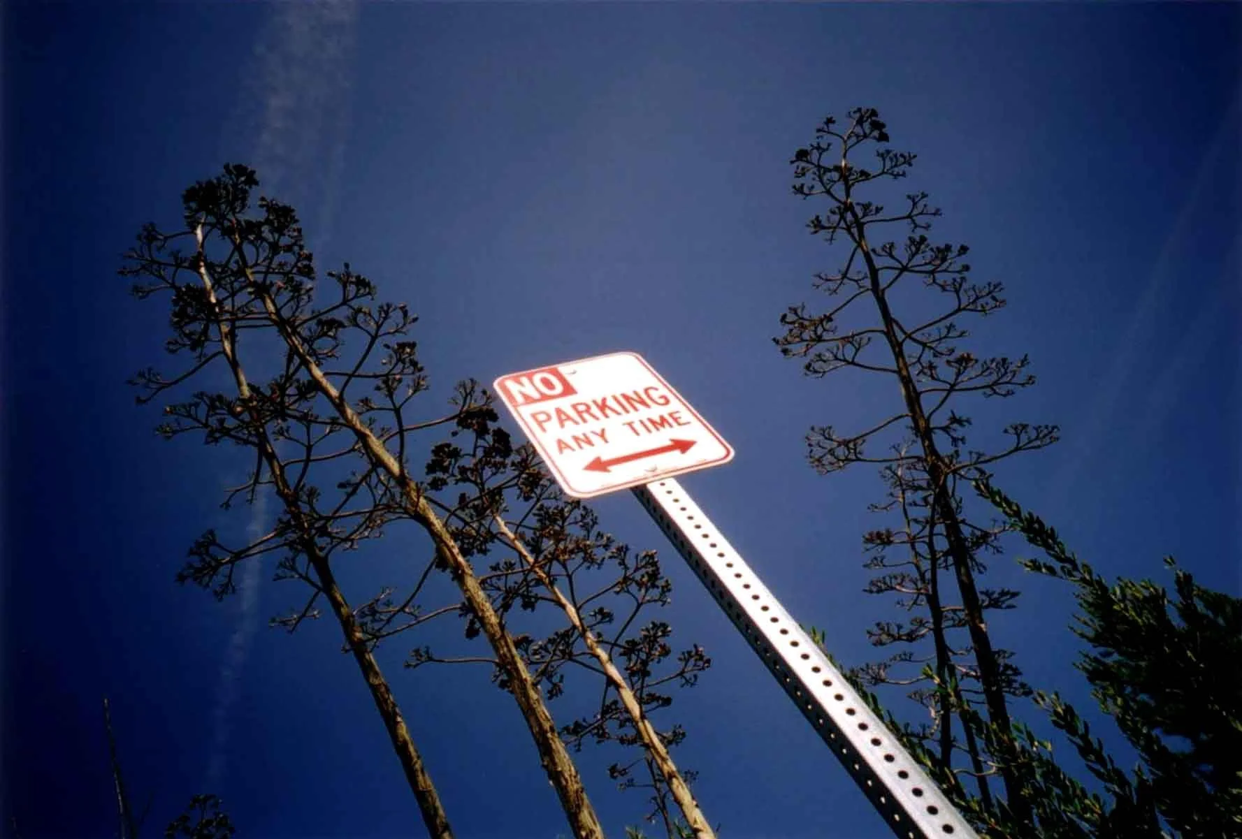 los angeles 05 - 11.jpg