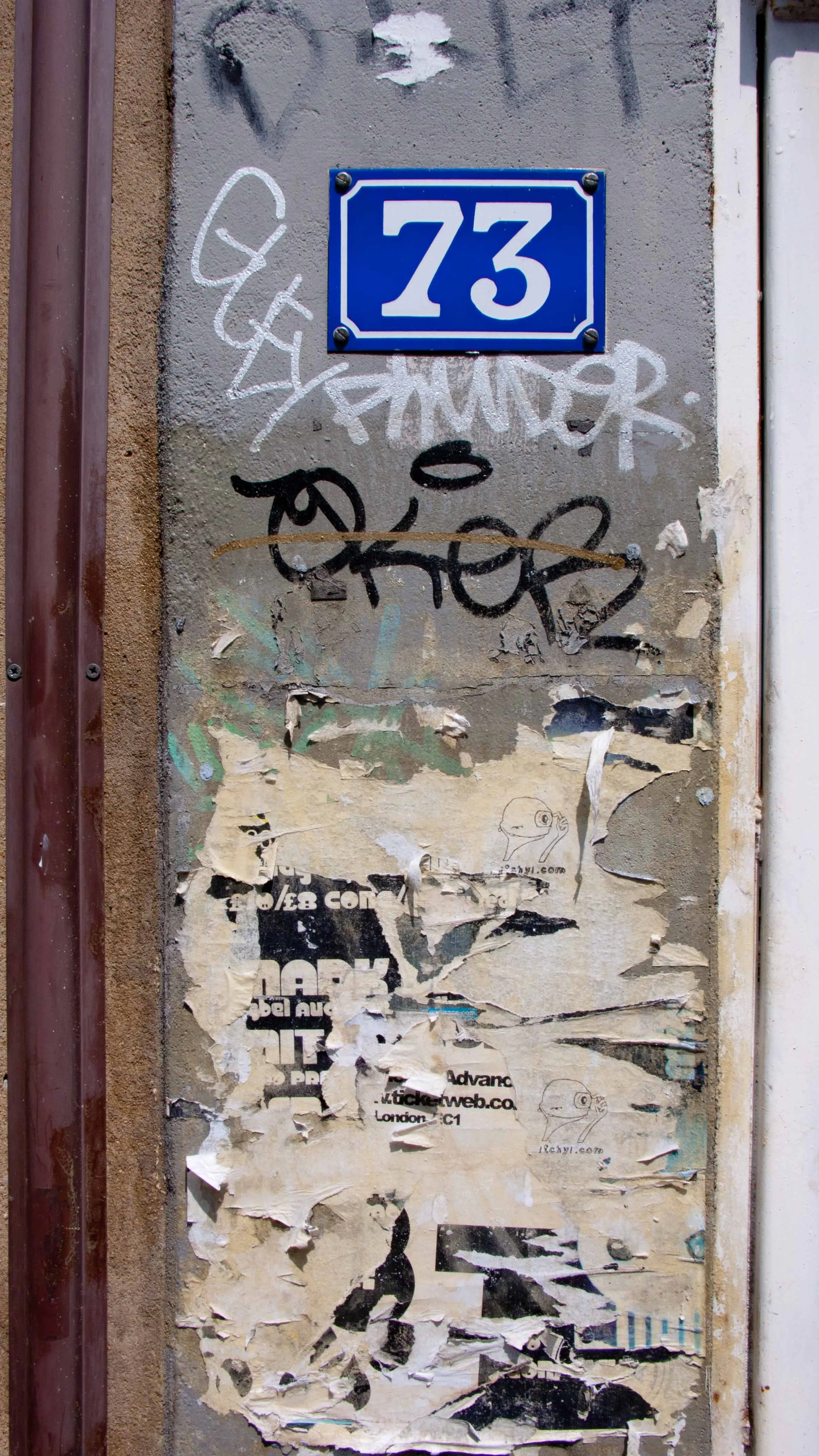 L1050682.jpg
