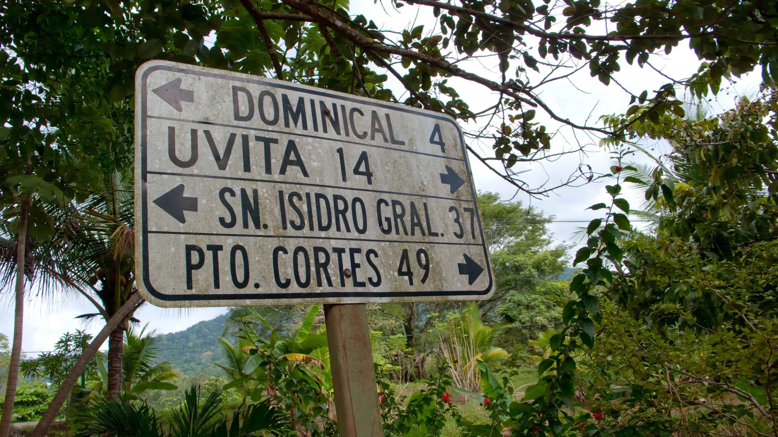 L1040684.jpg