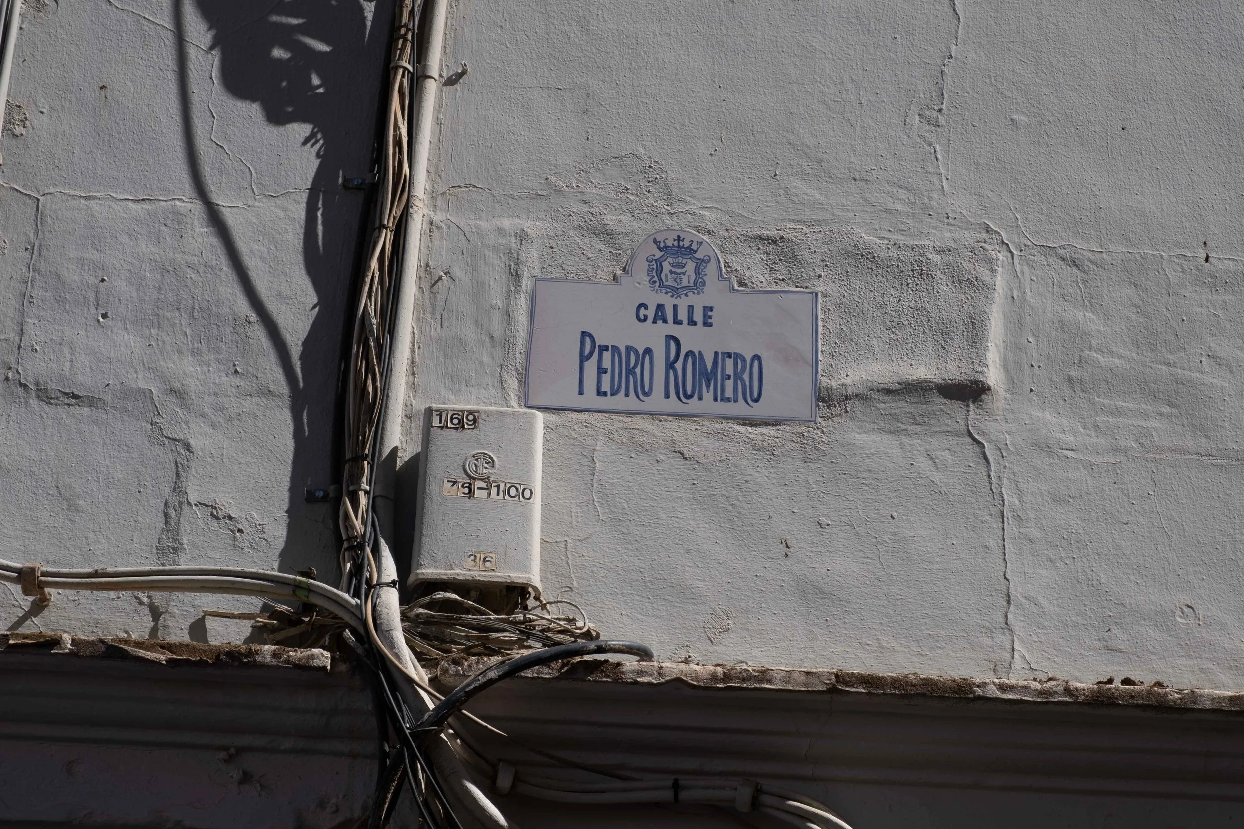 DSCF7336.jpg
