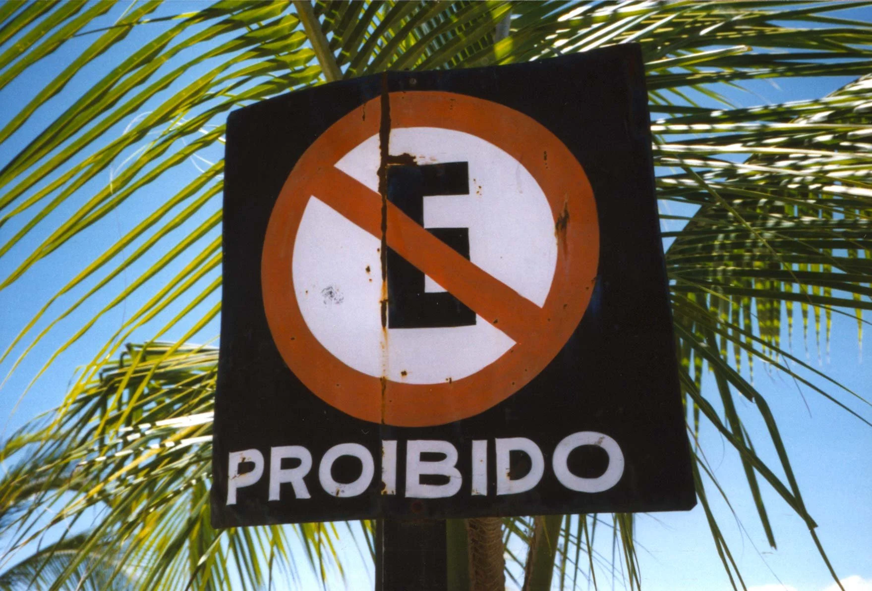 brasil-roll 10 shot 17a.jpg