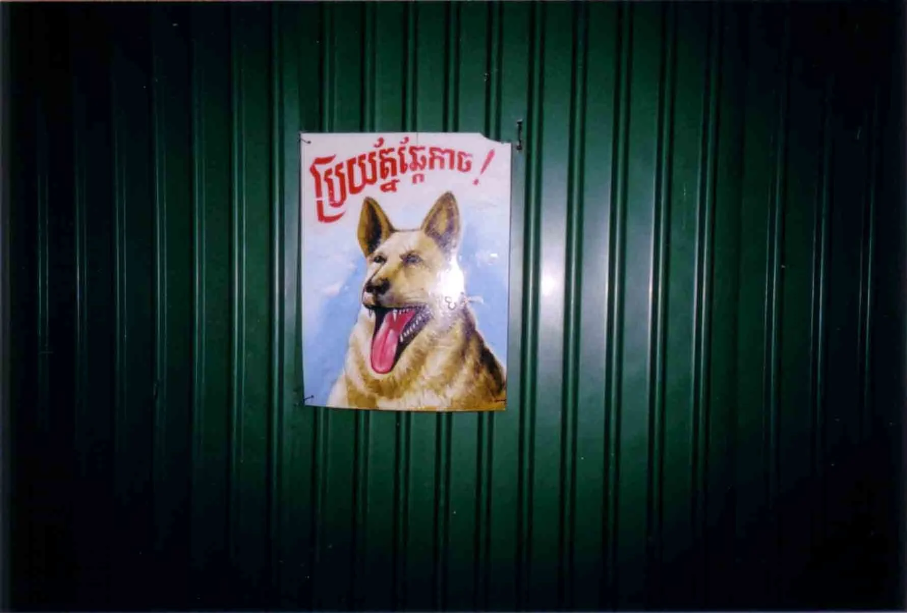 cambodia roll 5 24.jpg