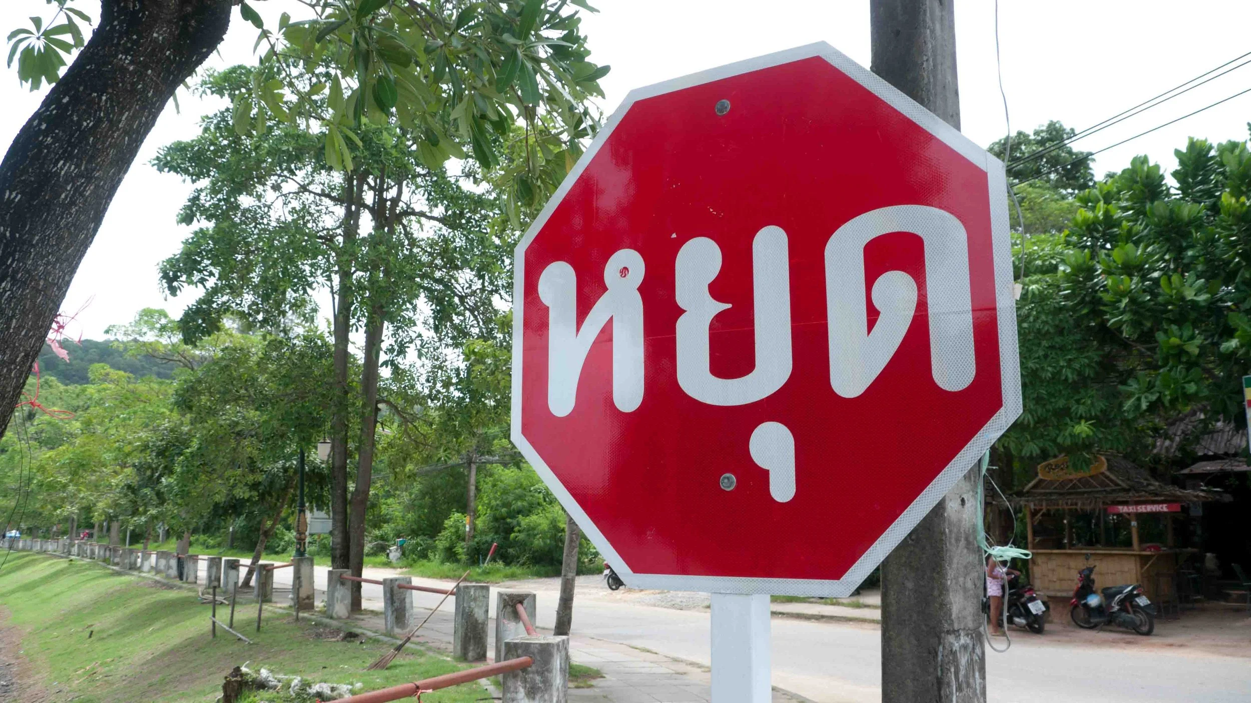 P1380164.jpg