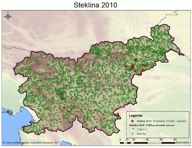 Steklina v Sloveniji leta 2010 ( vir )