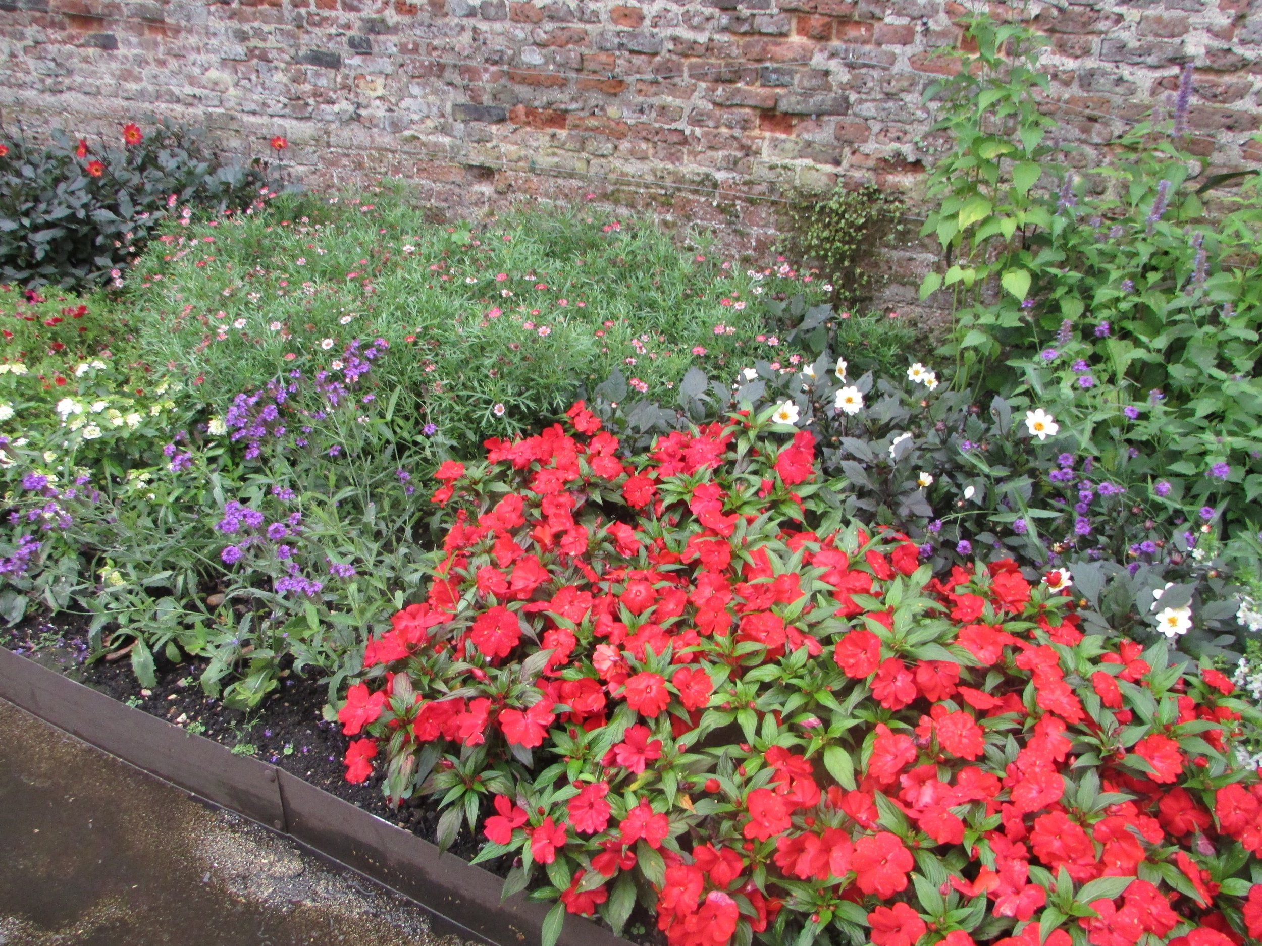 Hampton Court gardens 8.jpg