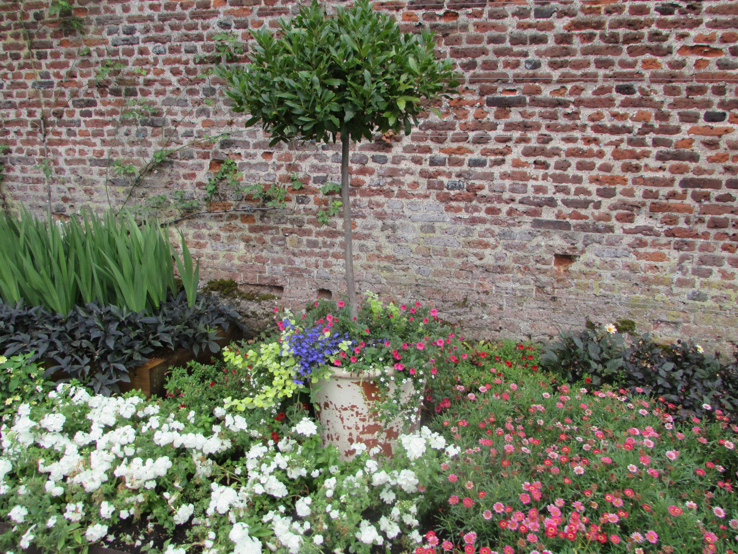Hampton Court gardens 6.jpg