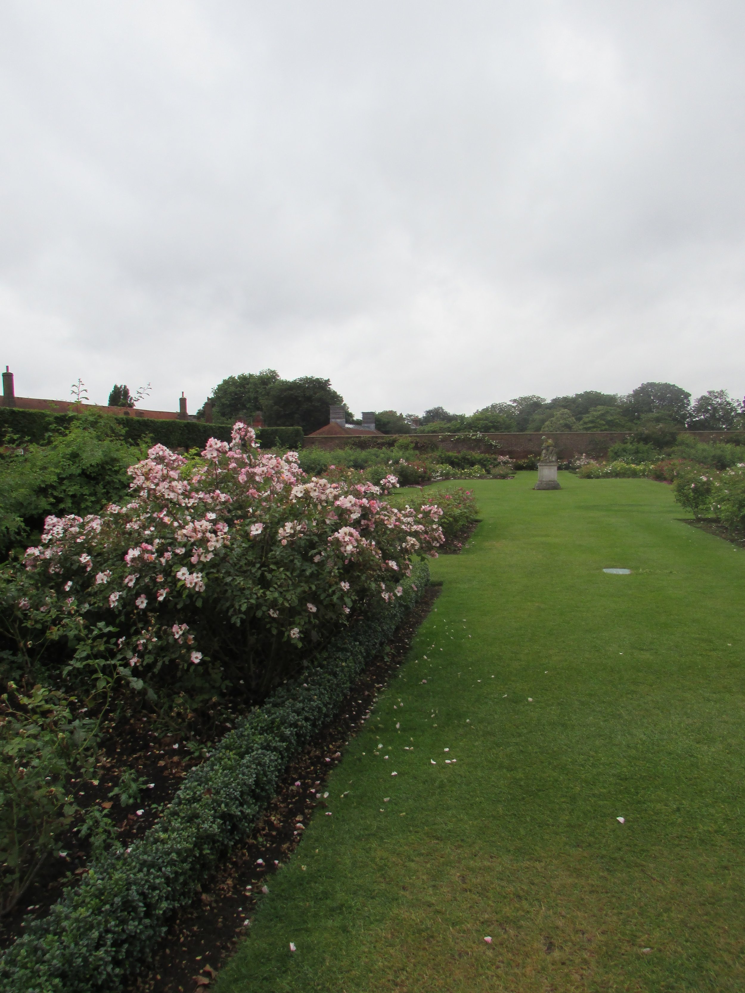 Hampton Court gardens 3.jpg
