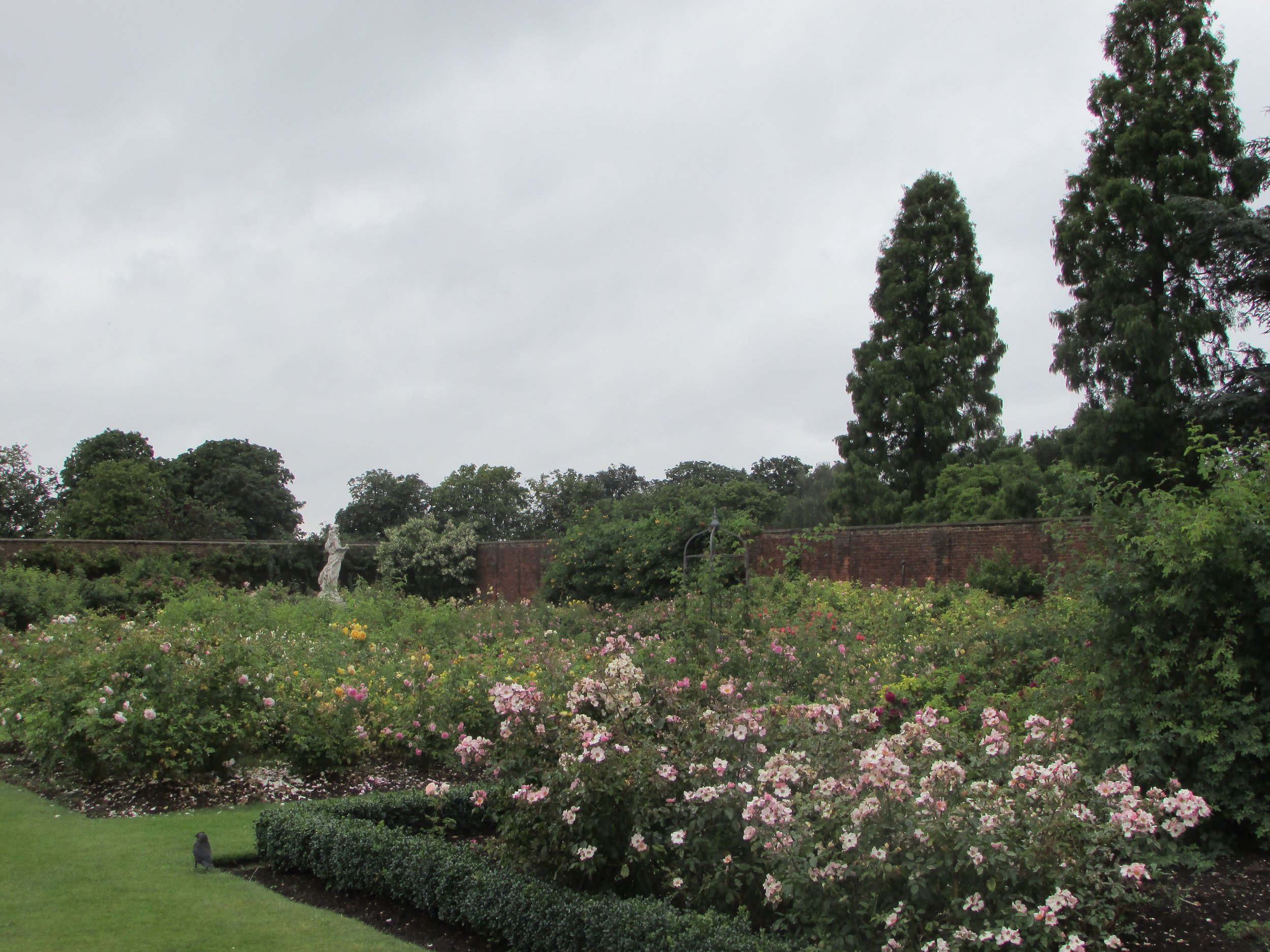 Hampton Court gardens 4.jpg