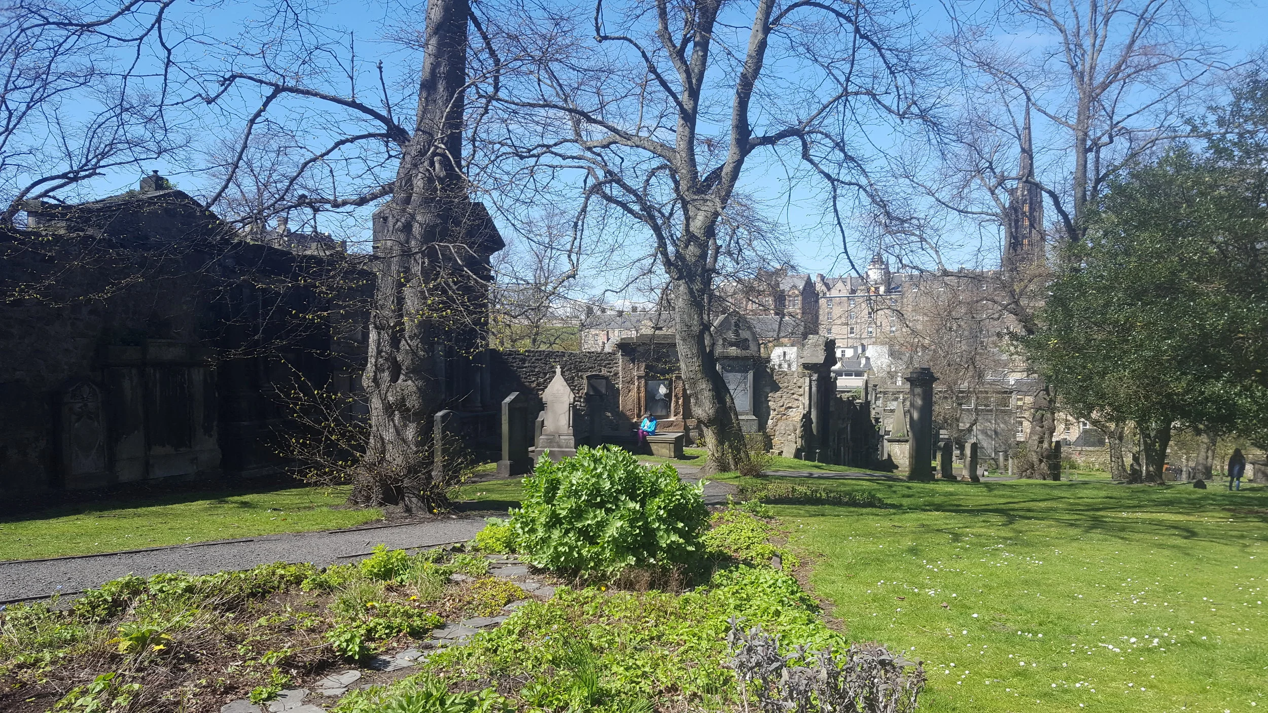 20180430_135159.jpg