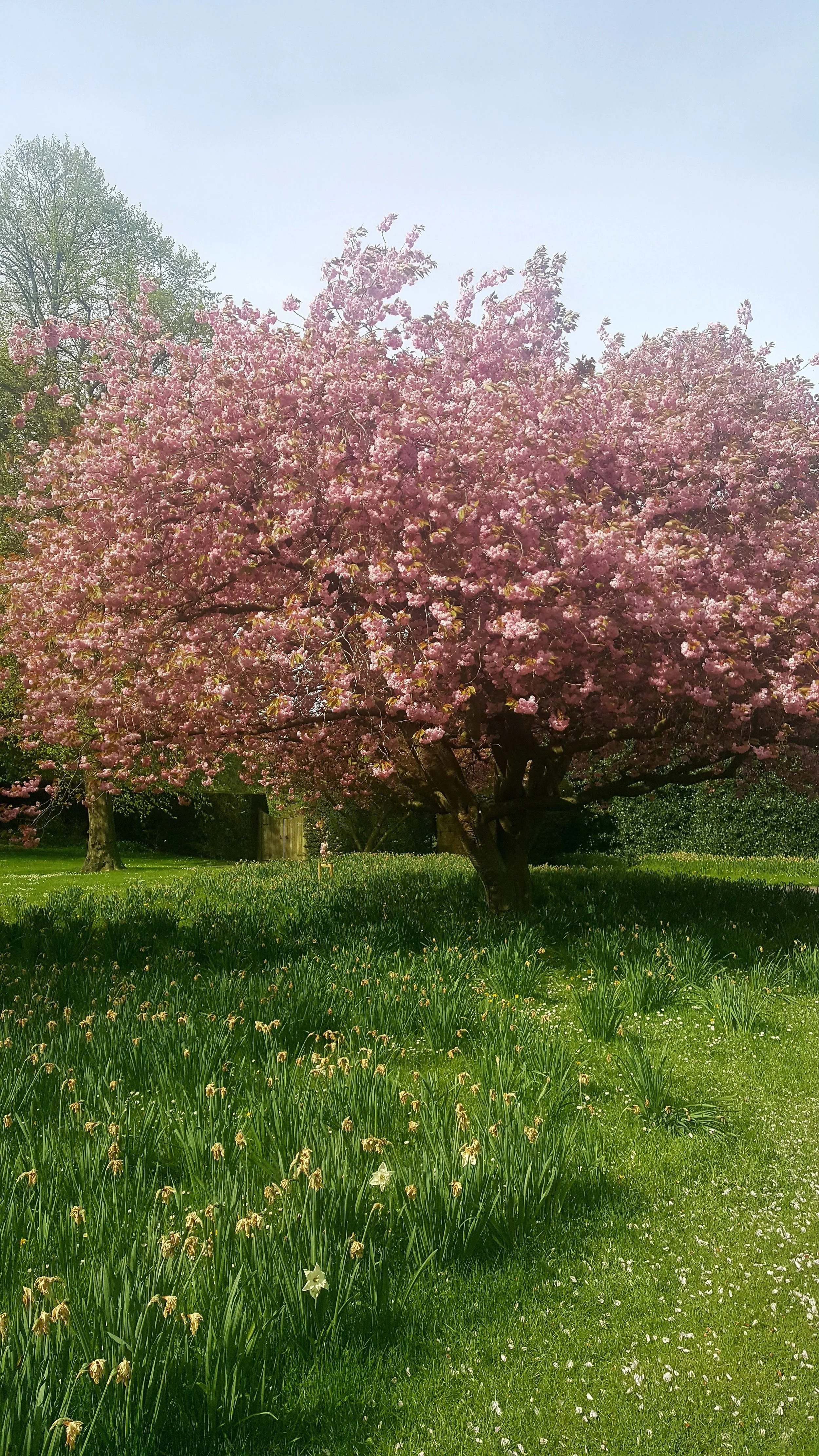 20180509_104022.jpg