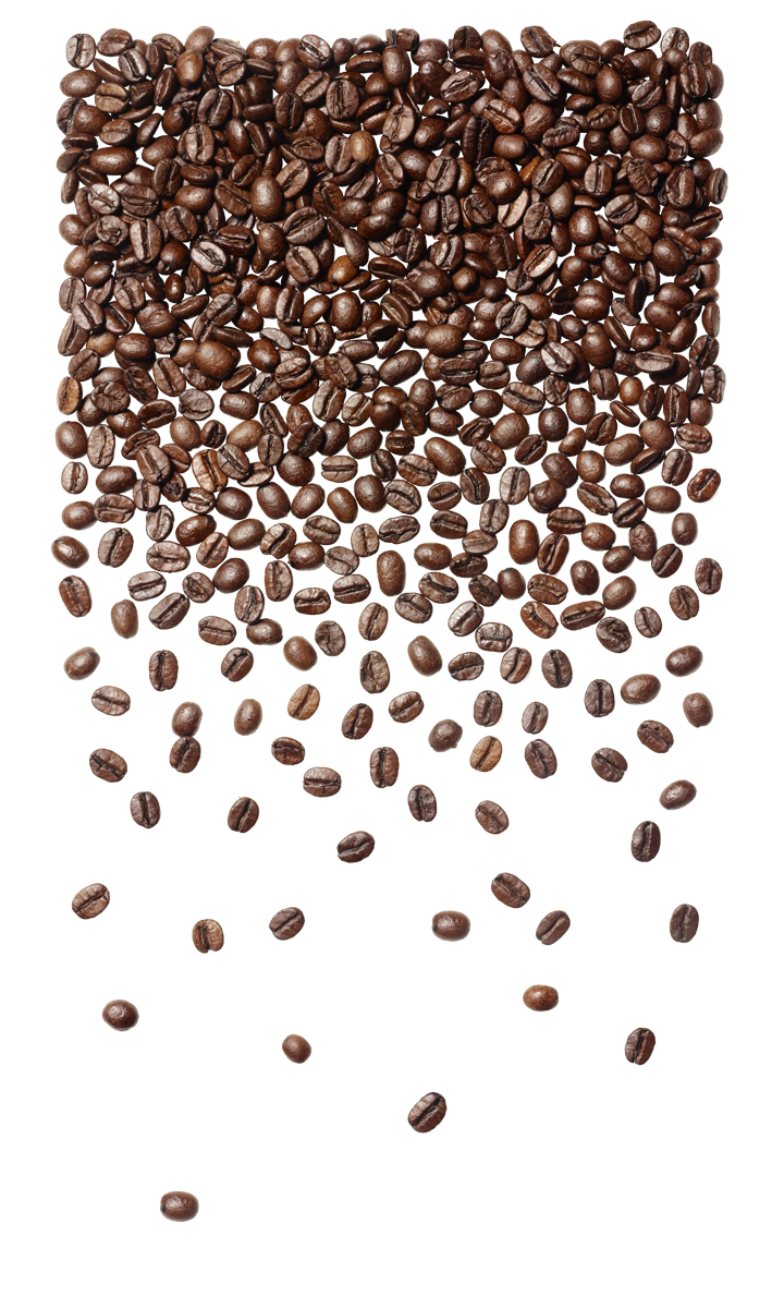 SBC-Coffee-Bean-Gradient_Lo_RGB.png