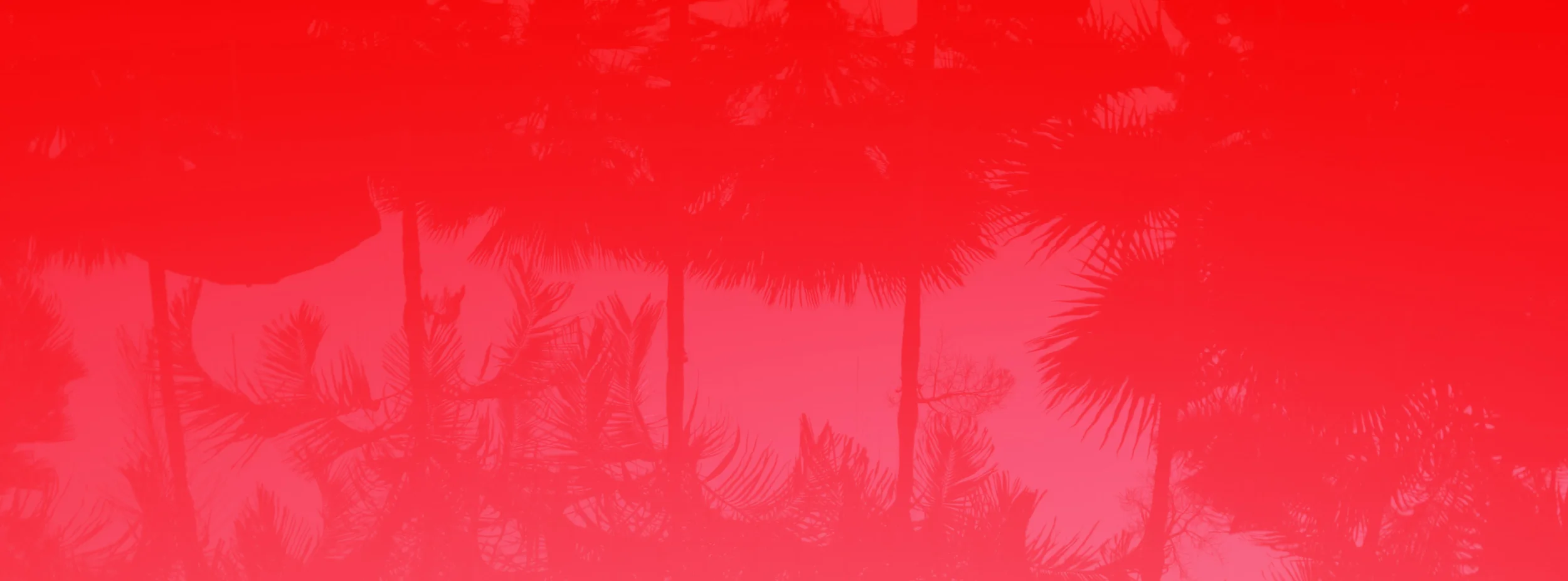 Claradise_palms_red.jpg