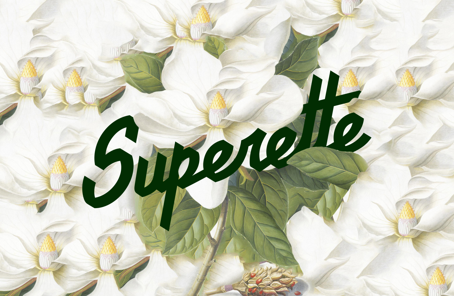 Superette-_Backgrounds_magnolias_logo.jpg
