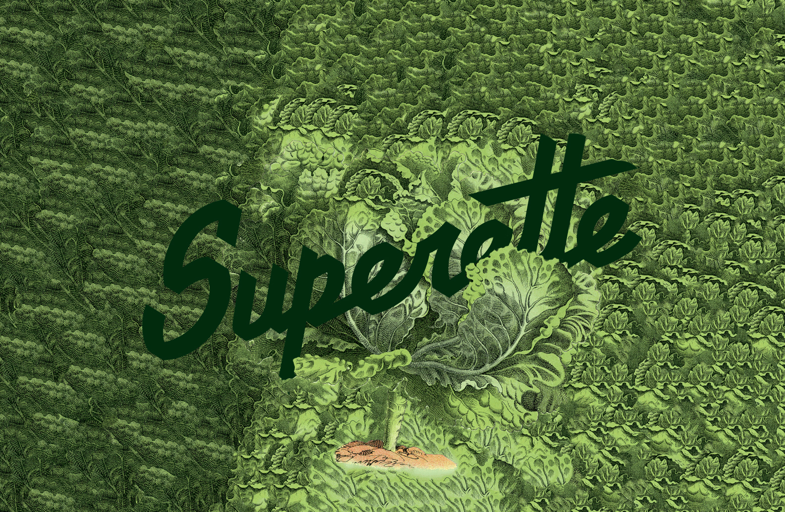 Superette-_Backgrounds_lettuce_logo.jpg