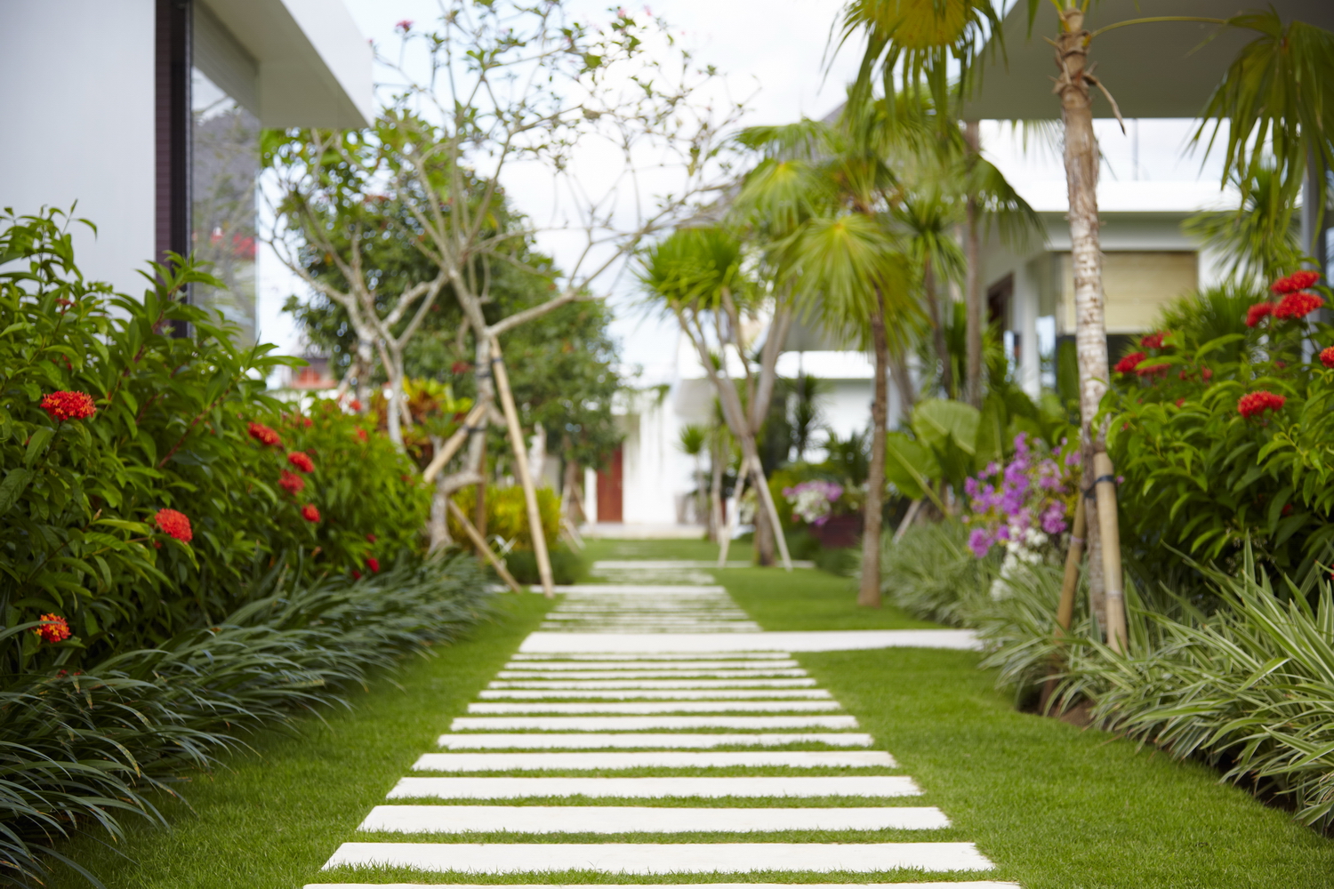 Villa-Malaathina-Pathway.jpg