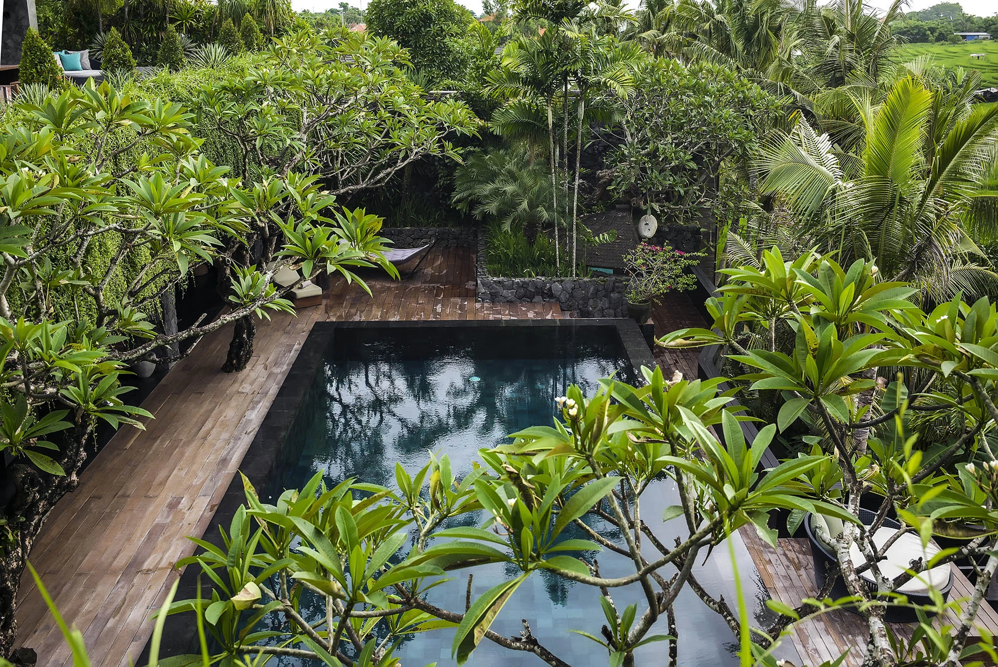 Villa-Mana-Pool-view-in-the-tropics.jpg